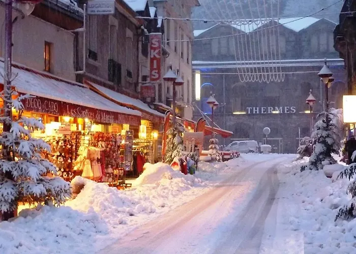 Apartment T2 Agreable Au Mont-dore Avec Wifi - Fr-1-608-197 *