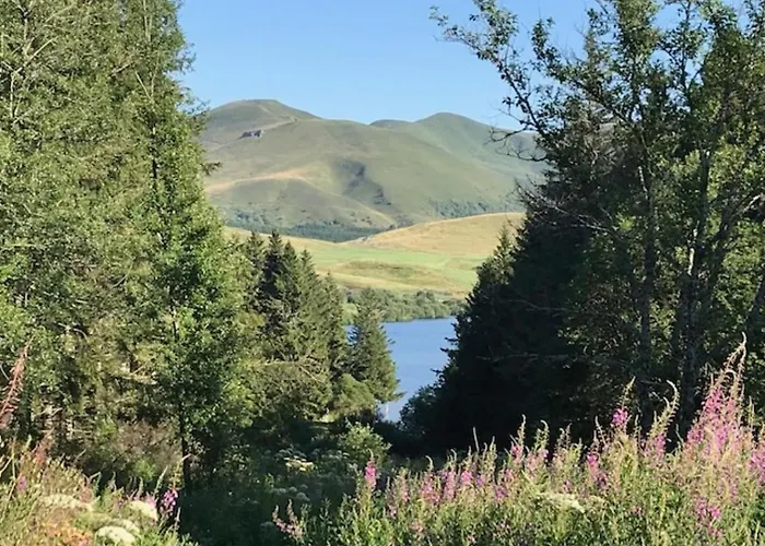 T2 Agreable Au Mont-dore Avec Wifi - Fr-1-608-197 Apartment