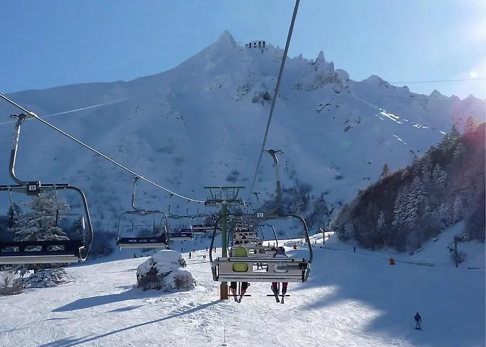 Apartment T2 Agreable Au Mont-dore Avec Wifi - Fr-1-608-197 *